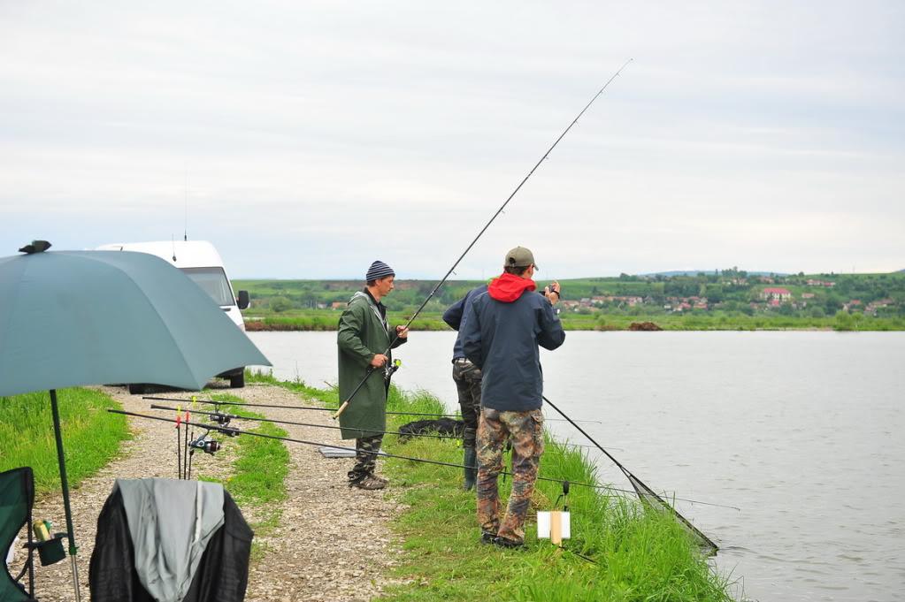 cupa energy - ddd.jpg